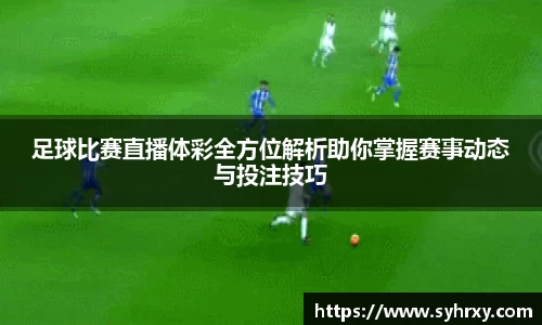 安信13娱乐