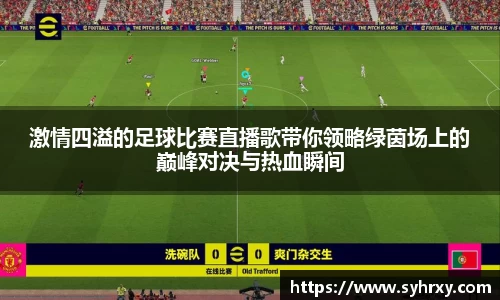 安信13娱乐