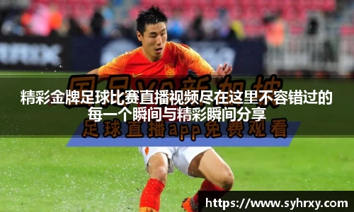 安信13娱乐
