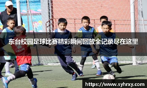 安信13娱乐