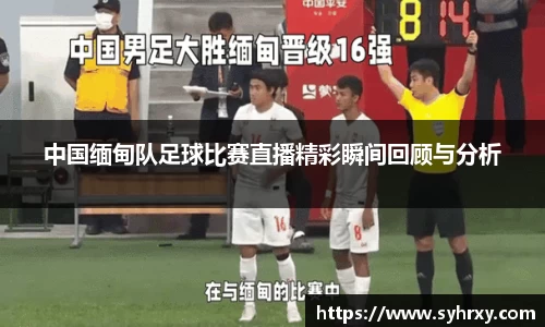 安信13娱乐