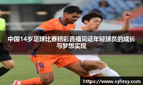 安信15娱乐