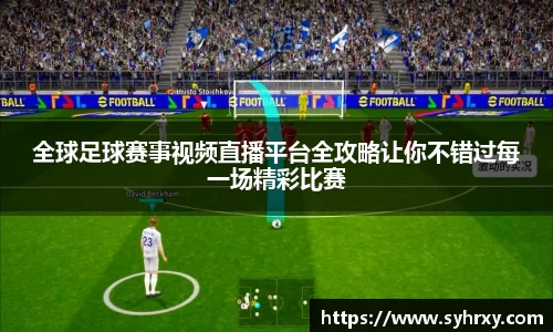 安信13娱乐
