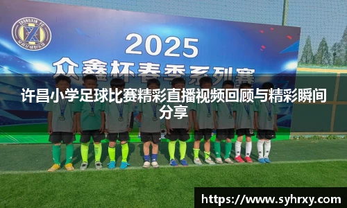 安信13娱乐