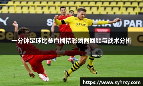 安信15娱乐